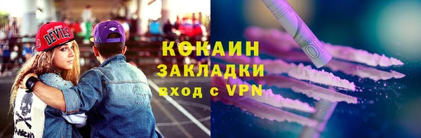 крисы Магас