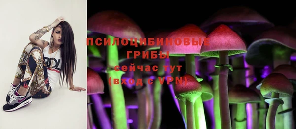 крисы Магас