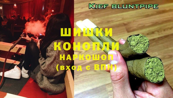 крисы Магас
