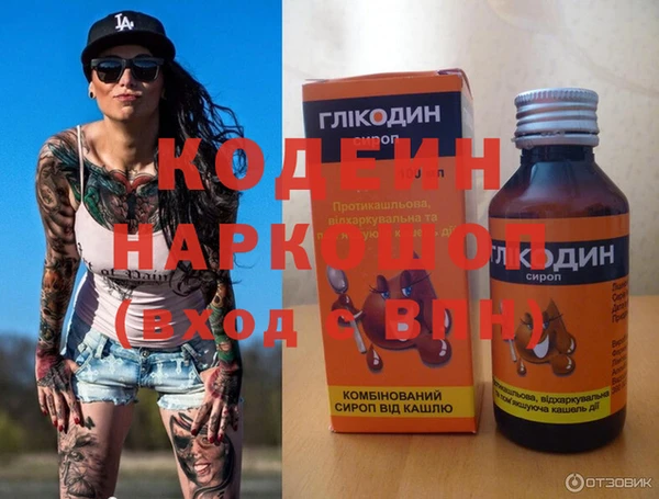 крисы Магас