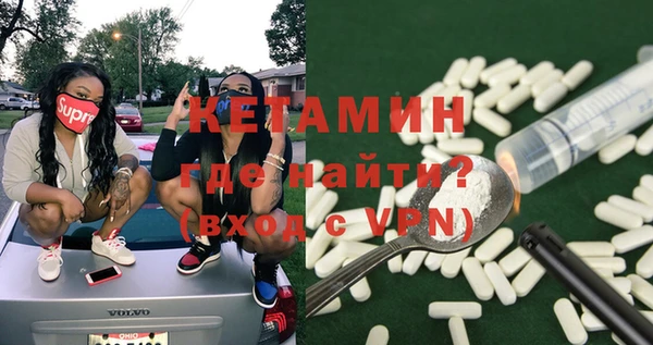 крисы Магас