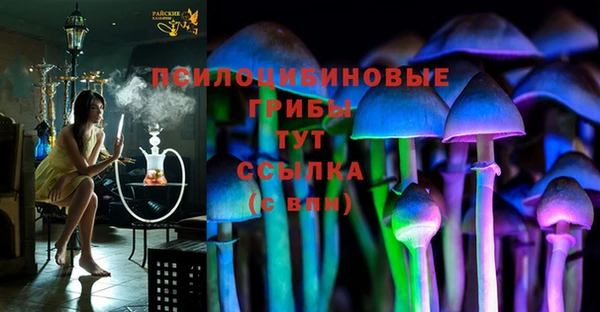 крисы Магас