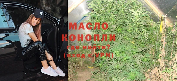 крисы Магас