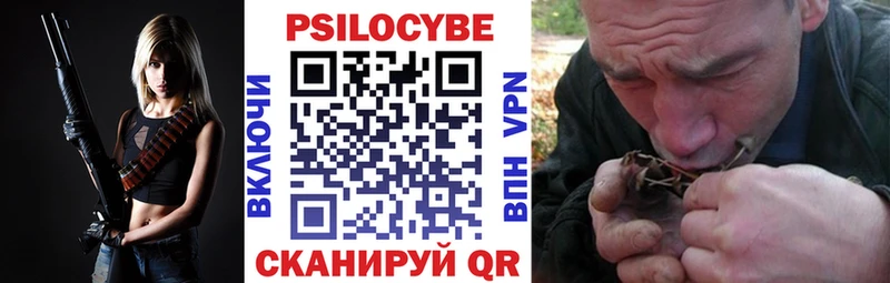 Галлюциногенные грибы Psilocybe  Плавск 
